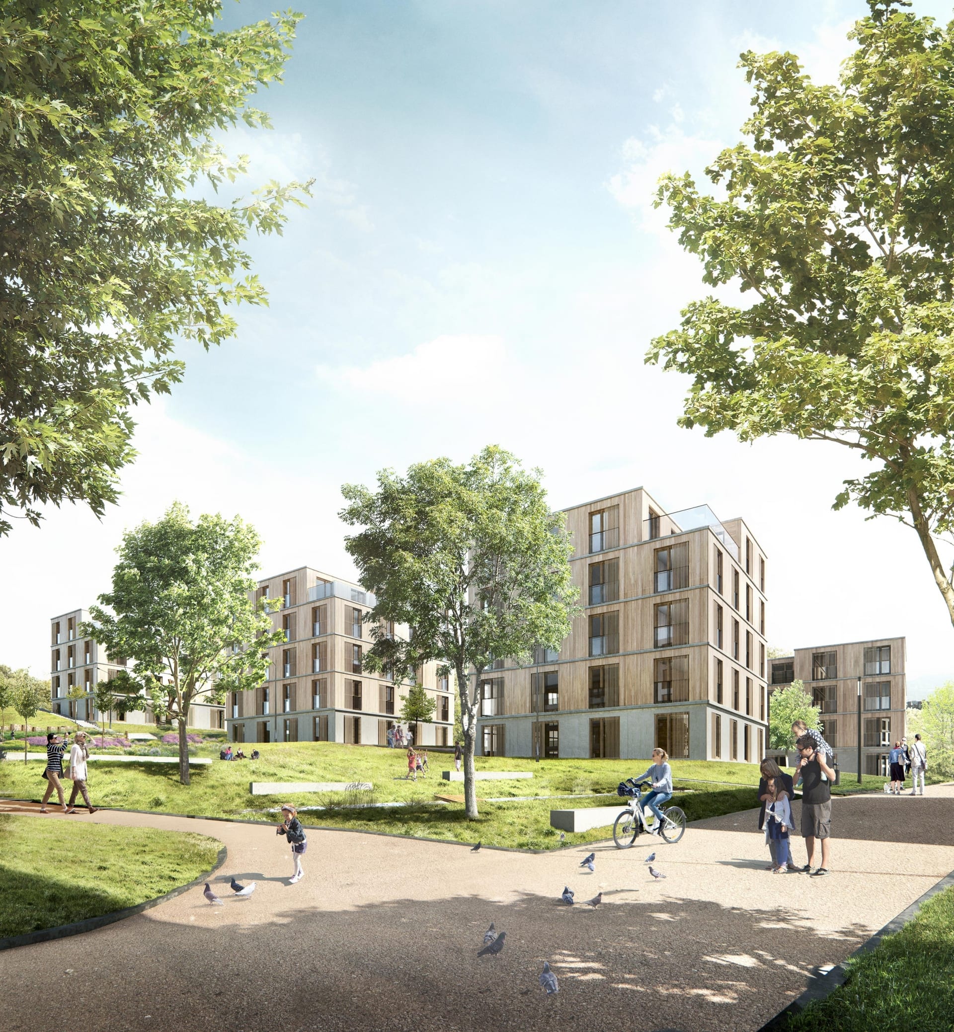 kopperroth, rinkerareal